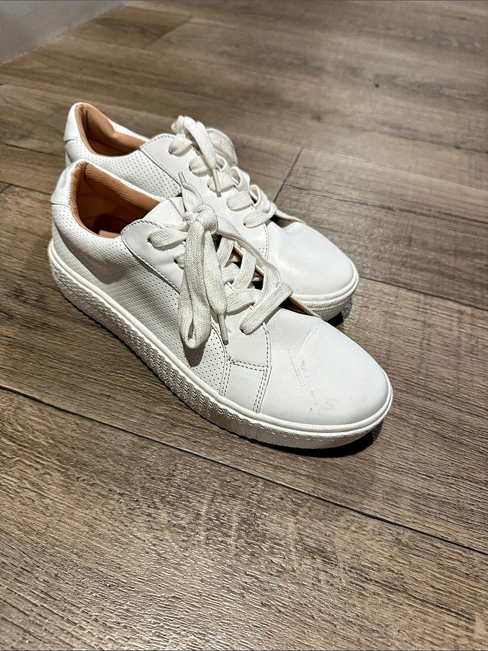 Steve Madden Tolverson White Sneakers US 9